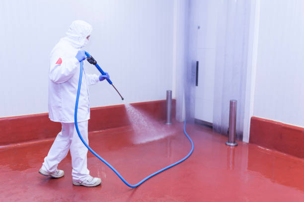 Best Residential House Exterior Washing  in Idaho Springs, CO